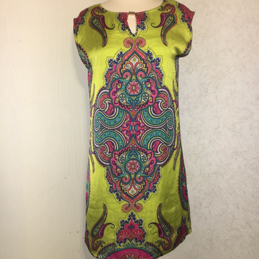 Max Shift Dress - Size 6